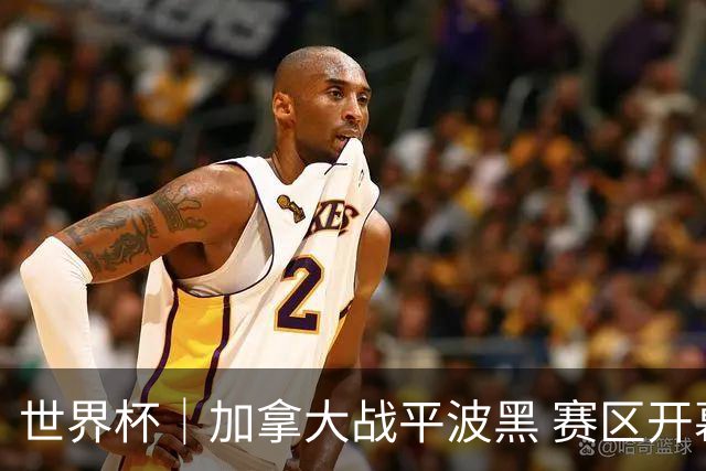 世界杯｜加拿大战平波黑 赛区开幕式表演“翻车”