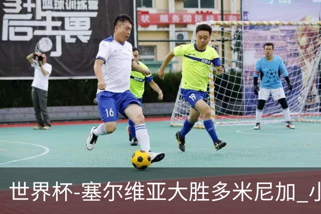 世界杯-塞尔维亚大胜多米尼加 小组第二进八强