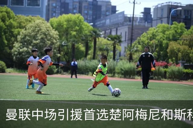 曼联中场引援首选楚阿梅尼和斯科特 与热刺抢荷兰边锋
