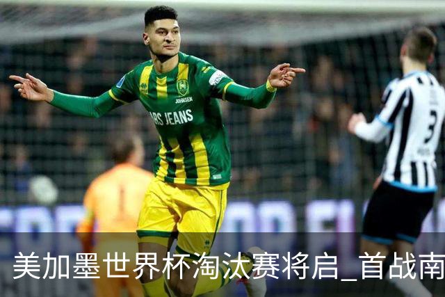 美加墨世界杯淘汰赛将启 首战南非对阵加拿大